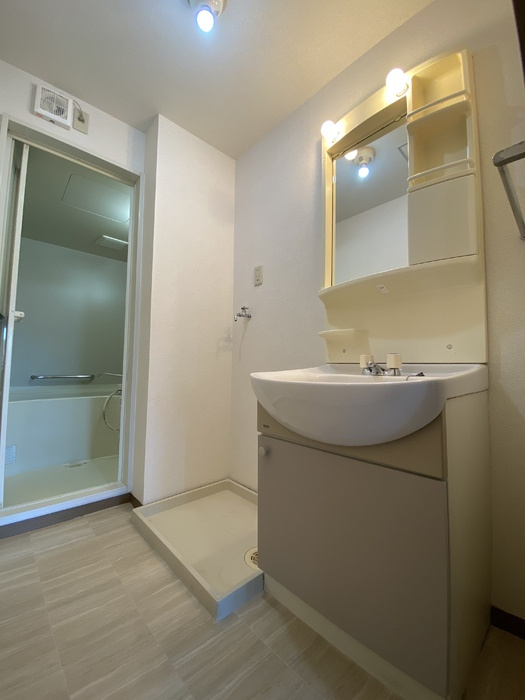 セジュール・アヴニールの洗面所