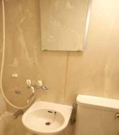 ダイアパレス浅草第二の洗面所