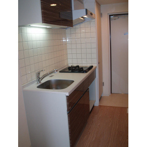 NVS(ニワヴィレッジセカンド)のキッチン