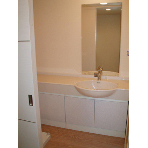 NVS(ニワヴィレッジセカンド)の洗面所