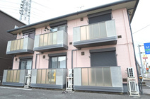 ローズマリーの画像