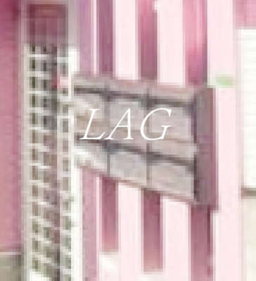 【その他】 | グレースクイーン