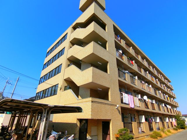 パックス楠