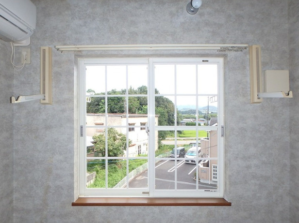 ネイプロシードの展望