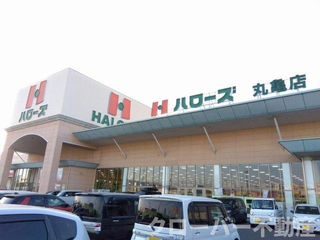 レオパレス高木の周辺