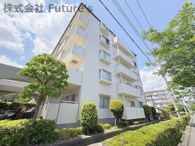 アミティ三郷早稲田6-1-2号棟の外観|外観写真です