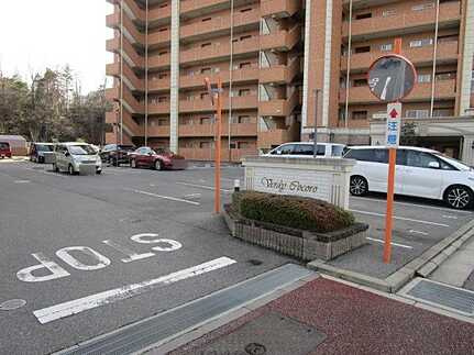 ヴェルディこころのその他