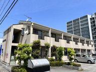 セントポーリアAの画像