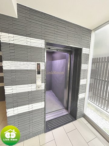 椿（TSUBAKI)のその他