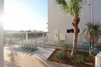 【展望】 | D's LIEN (ディ-ズリアン)D