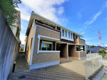 マウンテンメープルの画像