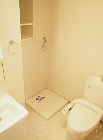 スカイコート錦糸町の洗面所