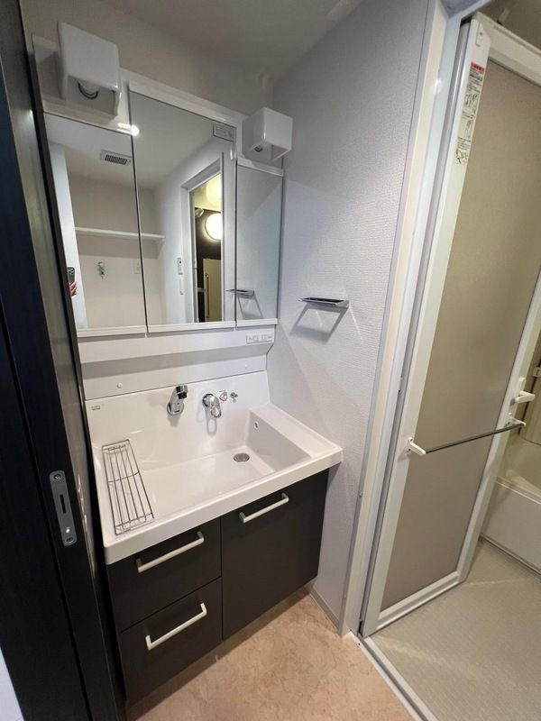 エステムコート阿波座プレミアムの洗面所