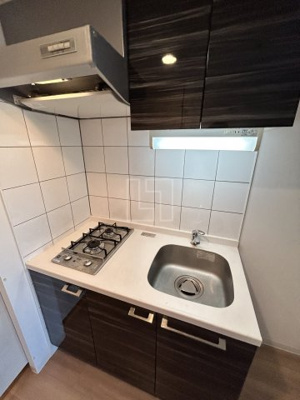 【キッチン】 | エスリード心斎橋EAST | エスリード心斎橋EAST（エスリードシンサイバシイースト）　システムキッチン