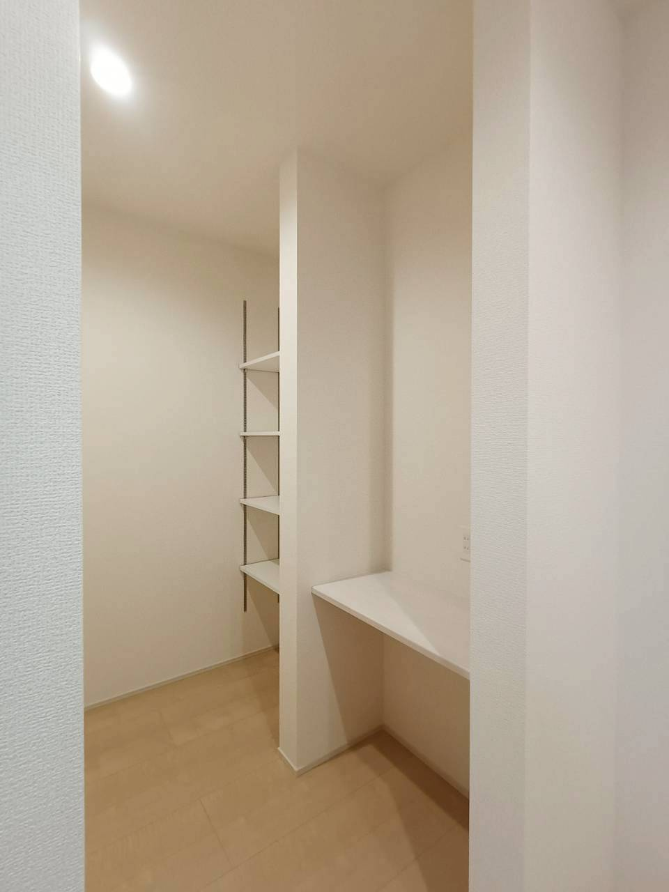 越谷市　東越谷4丁目　新築戸建　全1棟の収納|施工例です