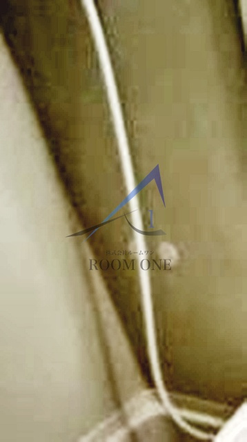 アクチュエールホシノのその他