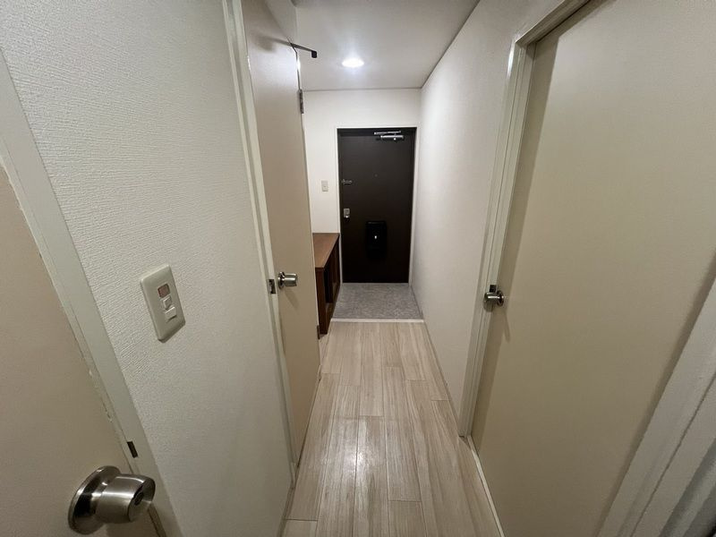 福岡市南区高宮２丁目の賃貸マンションの玄関