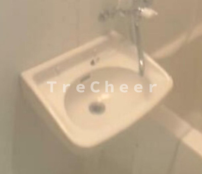 【洗面所】 | サウス・サウザンド西高島平