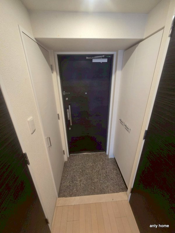 ES-Grande大阪 City Avenue　仲介手数料無料の玄関