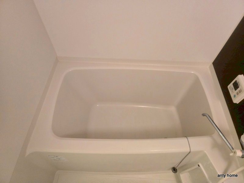 ES-Grande大阪 City Avenue　仲介手数料無料の浴室