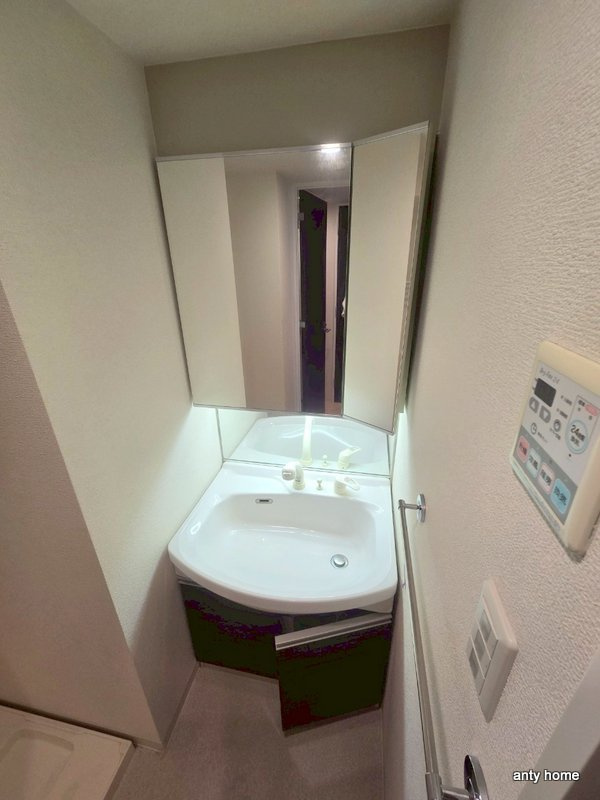 ES-Grande大阪 City Avenue　仲介手数料無料の洗面所