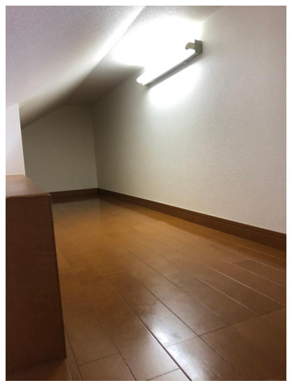 ライフピアバイオレットの内装