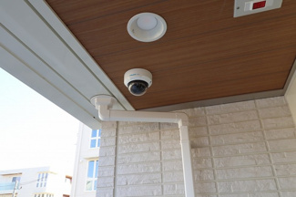  | D's LIEN (ディ-ズリアン)F