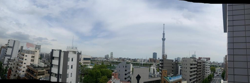 エルフィーノ浅草の展望