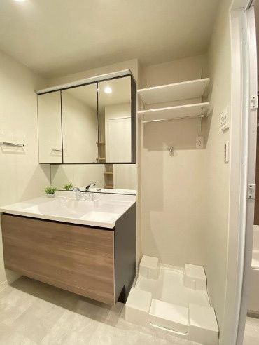 エルフィーノ浅草の独立洗面台