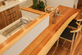  | 守山市播磨田町　中古戸建