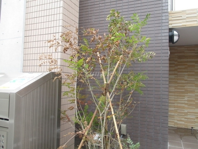 Y・Kレジデンス赤羽西のその他|緑があって癒されますね☆