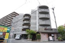 マンショングレースの画像