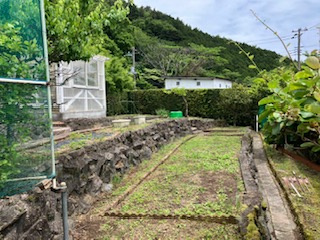 東伊豆町　エンゼルフォレスト伊豆熱川の庭