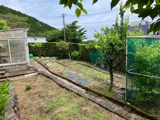 東伊豆町　エンゼルフォレスト伊豆熱川の庭