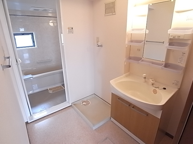 メゾンプレミールＢの洗面所