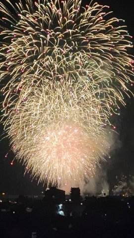 藤和神田町ハイタウンの展望|お部屋から三津浜花火を見ることが出来ます！
※眺望は将来にわたり保証されるものではありません。