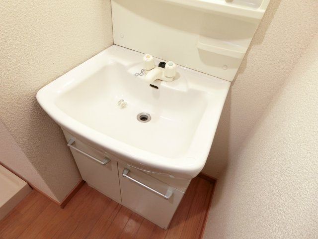 グリーン花水木IIの洗面所|ゆったりとスペースのある洗面所