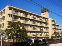 グリーンカース恋ヶ窪の画像