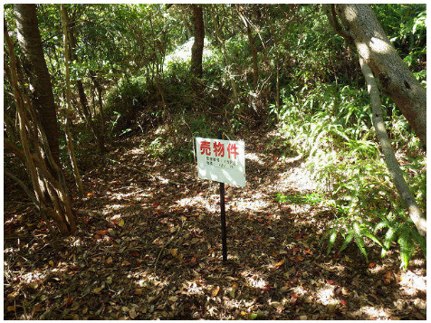 売土地　静岡市葵区足久保口組