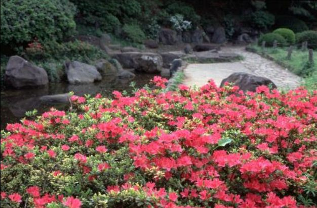文京大塚テラスの周辺|関口台公園