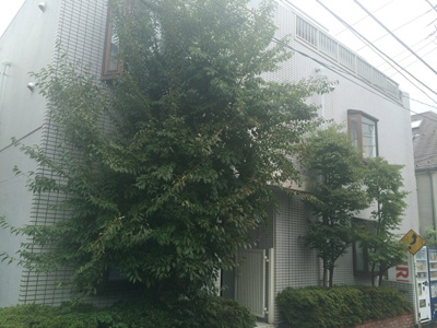 【外観】 | 目黒ロフト