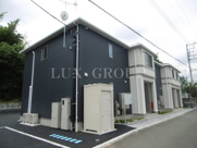 ラフェリアの画像