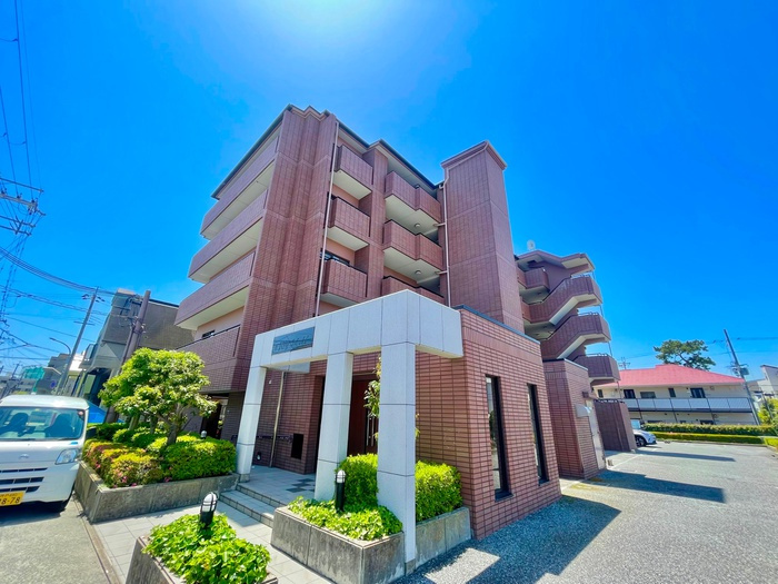 ジョイディール