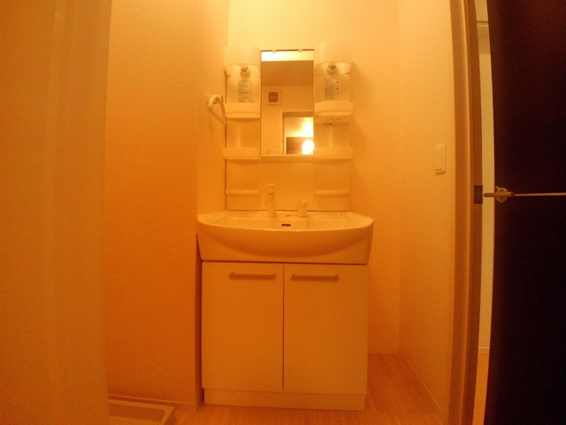 メゾンベージュの洗面所