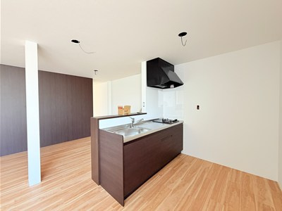 RENATUS La Paixのキッチン