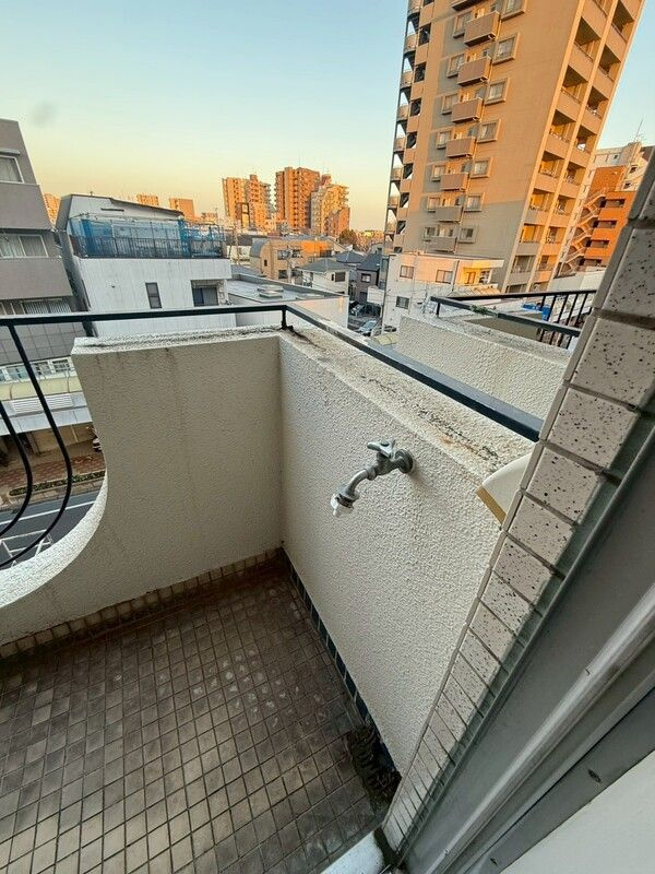 ニューシャトレーマンションのバルコニー