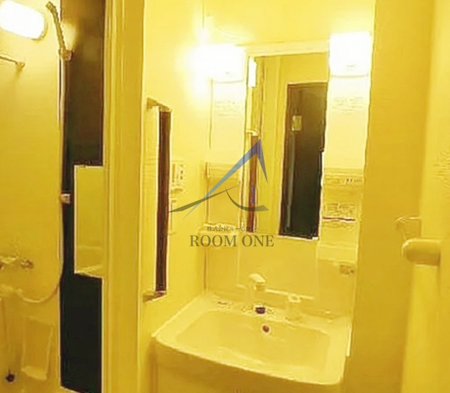 Ｓａｌｅｔｔａ大森山王の洗面所|洗面台です。