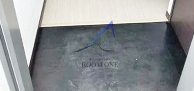 Ｓａｌｅｔｔａ大森山王の玄関|玄関です。