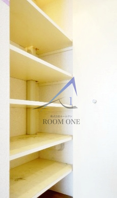 ラグジュアリーアパートメント森下の収納|収納です。