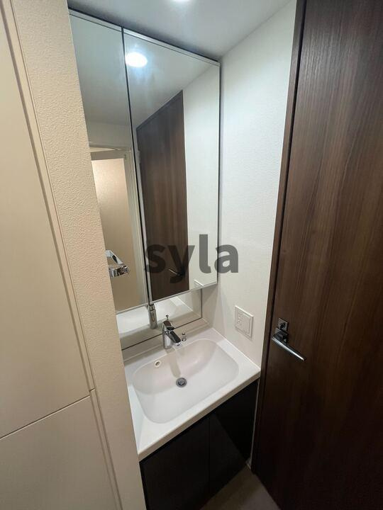 SYFORME NEXT MUKOJIMAの洗面所